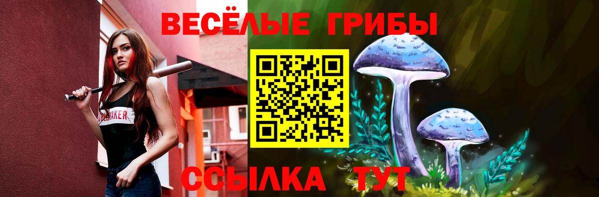 наркота  Псилоцибиновые грибы Psilocybine cubensis  Вход с VPN  Котлас  Псилоцибиновые грибы ЛСД 
